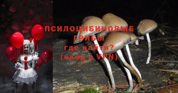 MDMA Россошь
