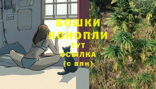 apvp Рославль