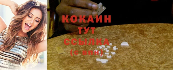 apvp Рославль