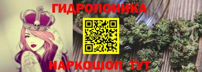 ALPHA PVP Кингисепп