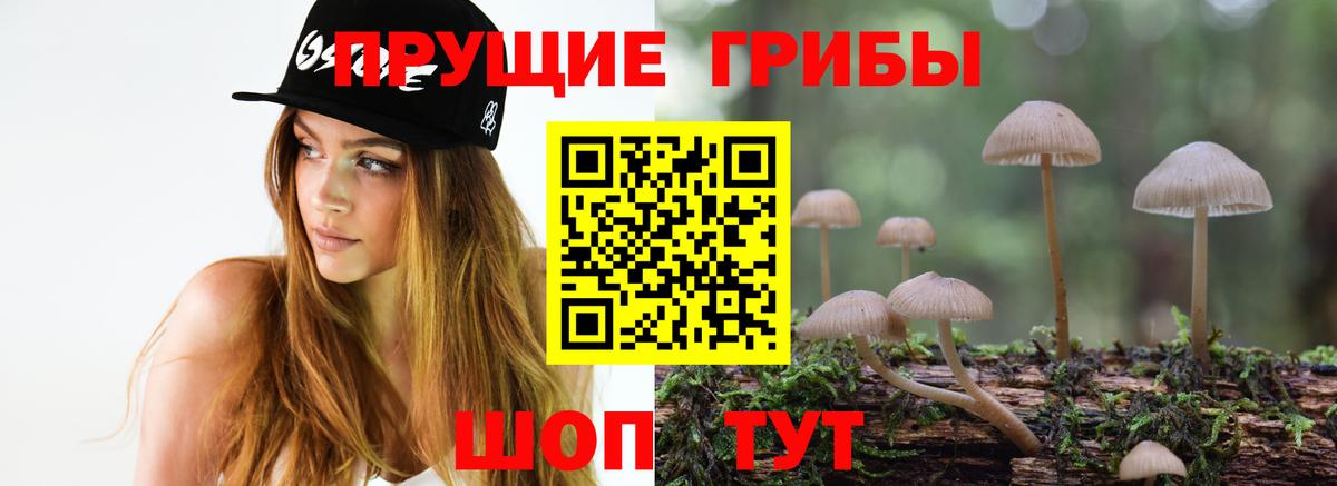 даркнет сайт  Галлюциногенные грибы мицелий  Вход с VPN  Псилоцибиновые грибы GOLDEN TEACHER  Краснодар 
